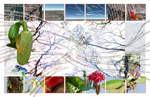 Lalbagh TreeStory. Whisper in the Skies