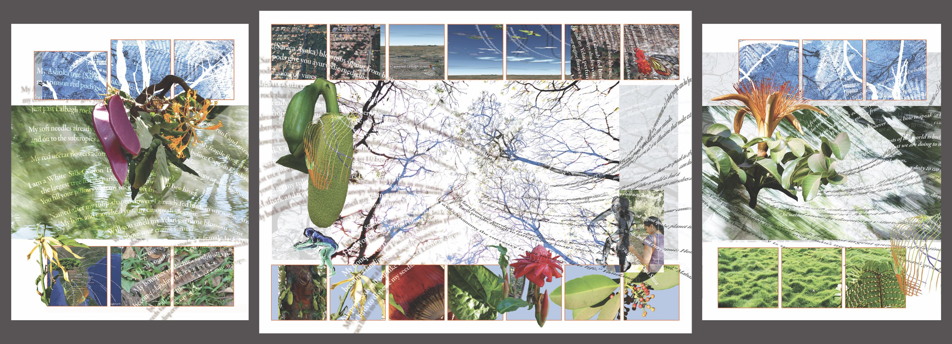 Lalbagh Treestory, Triptych