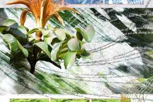 Lalbagh Treestory- Speaking to Vandana