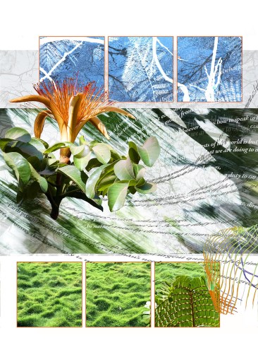 Lalbagh Treestory- Speaking to Vandana